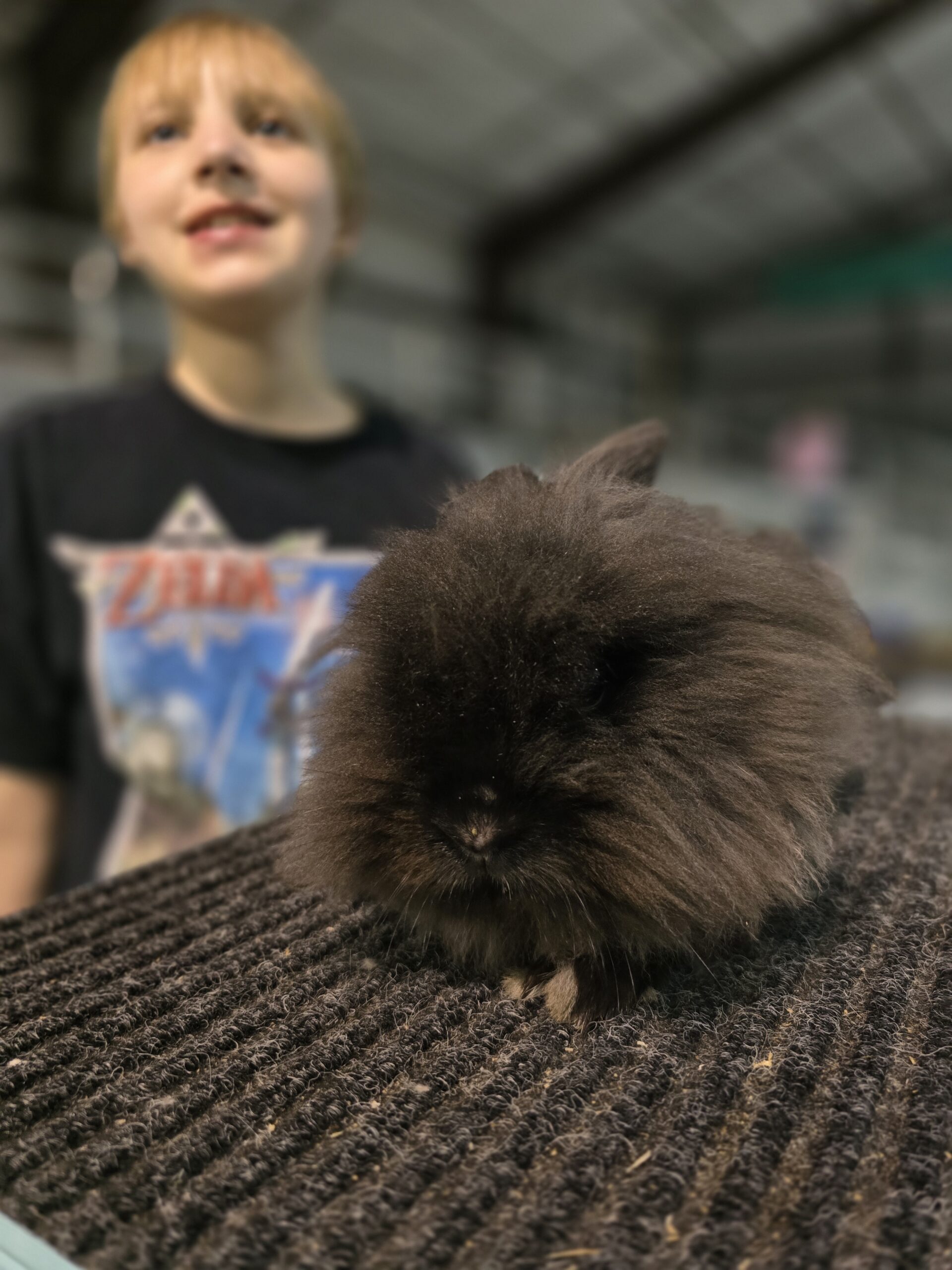 Southland Rabbit Club Show / Fanning Springs, FL / November 23, 2024