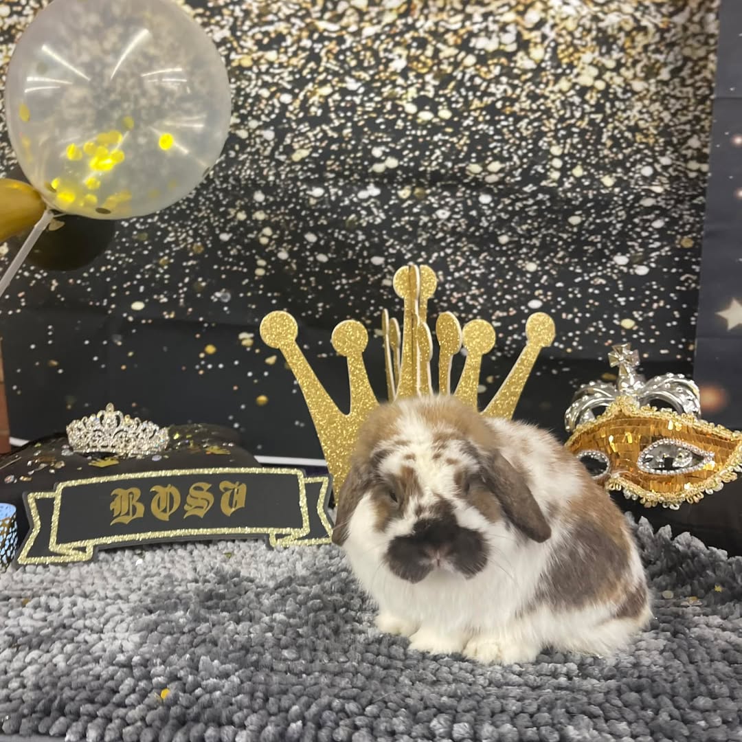 QCRS New Years Eve Show / Hickory, NC / December 29-30, 2023