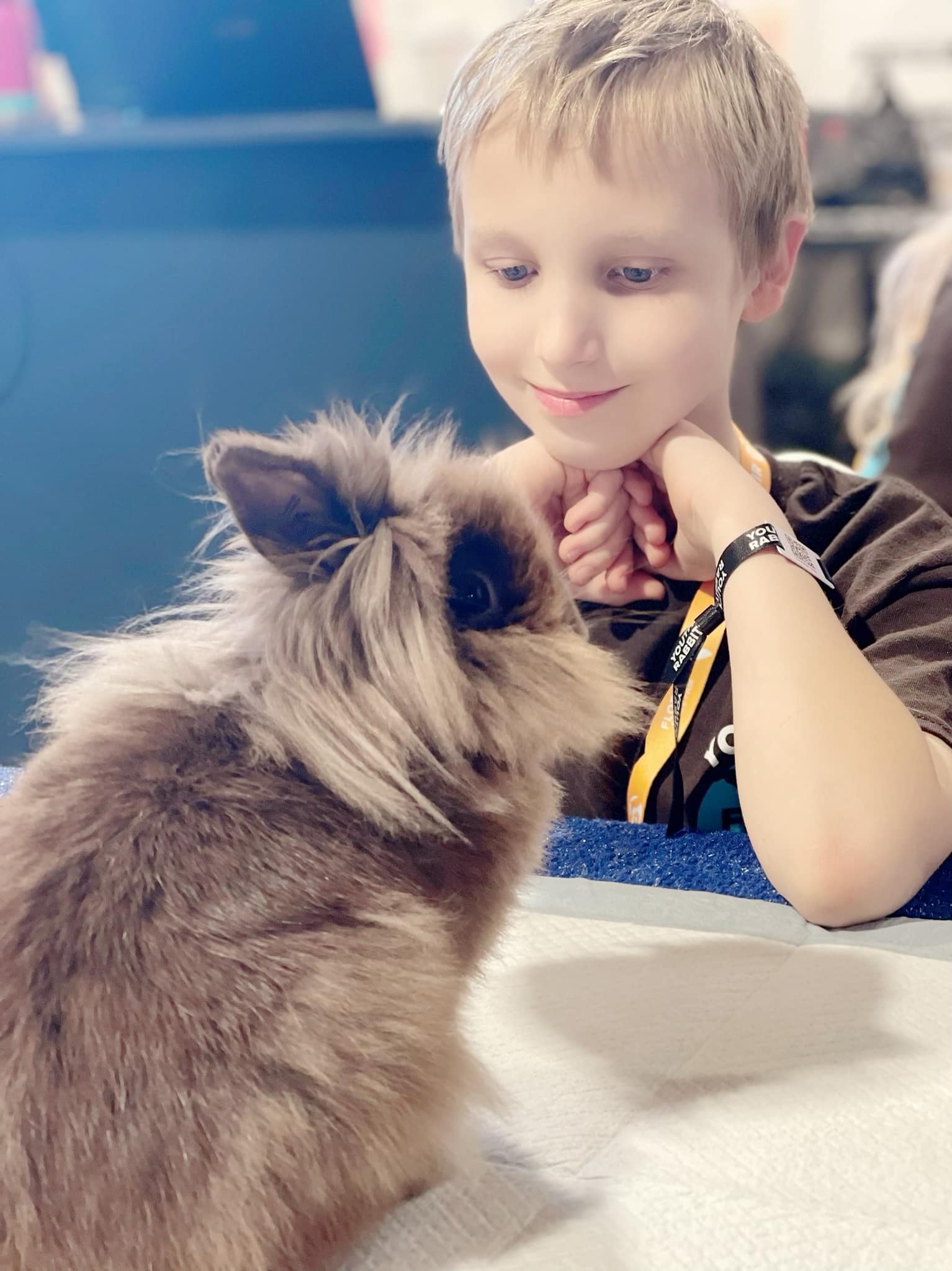 Florida State Fair Youth Rabbit Show / Tampa, FL / February 8-9, 2024